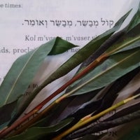 Das Foto wurde bei Adat Shalom Synagogue von Jason A. M. am 10/15/2014 aufgenommen