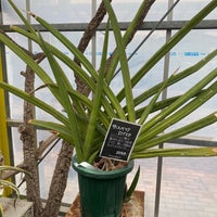 平田ナーセリー 熊本江津本店 熊本市 熊本県