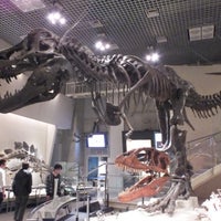 Photo taken at National Museum of Nature and Science by 方向音痴 on 4/16/2013