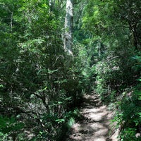 Photo taken at Nature Research Trail 6 by Hiroshi M. on 9/18/2023