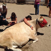 The Gentle Barn Newhall Santa Clarita Ca