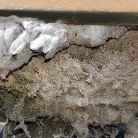 Photo taken at ALL CLEAR DRYER VENT CLEANING LLC by ALL CLEAR DRYER VENT CLEANING LLC on 3/24/2020
