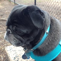 Photo taken at Union Street Dog Park by Mary M. on 4/27/2014