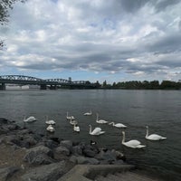 Photo taken at Donaupromenade by Hanna A. on 4/26/2023