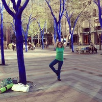 Photo taken at Westlake Blue Trees by Ashley J. on 5/6/2013