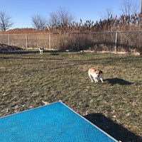 Photo taken at blue island bark park by Summer L. on 1/13/2018