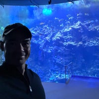 Photo taken at Steinhart Aquarium by Gerald H. on 7/9/2021