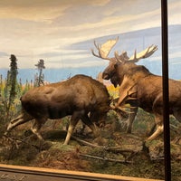 Photo taken at American Museum of Natural History Museum Shop by Mike F. on 8/19/2023
