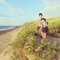 越前浜 海水浴場 2 Tips 越前浜 海水浴場 2 Tips