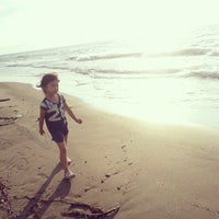 越前浜 海水浴場 2 Tips 越前浜 海水浴場 2 Tips