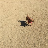 Photo taken at Culver City Dog park by Tiffany H. on 3/5/2018