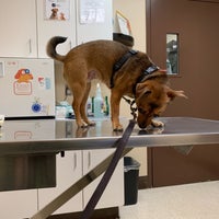 Photo taken at Overland Veterinary Clinic by Tiffany H. on 2/24/2019