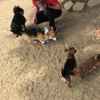 Photo taken at Culver City Dog park by Tiffany H. on 5/20/2018
