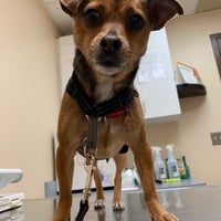 Photo taken at Overland Veterinary Clinic by Tiffany H. on 2/23/2019