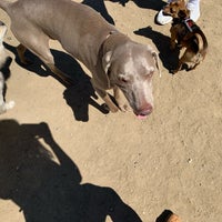 Photo taken at Laurel Canyon Dog Park by Tiffany H. on 8/18/2019