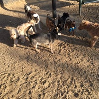 Photo taken at Culver City Dog park by Tiffany H. on 2/25/2018
