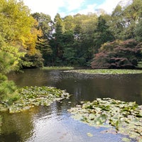 Photo taken at Nan-Chi (South Pond) by Georgiana M. on 11/18/2019