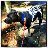 Photo taken at IPV Lofts Dog Park by Amelia T. on 10/31/2012