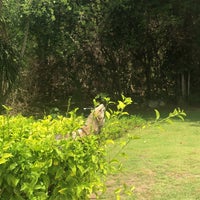 7/28/2019にAhura S.がGrand Sirenis Riviera Mayaで撮った写真