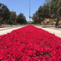 Photo taken at UCLA Dickson Court North by David S. on 7/22/2015