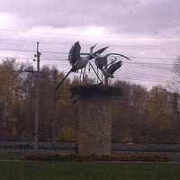 День аиста в новосибирске