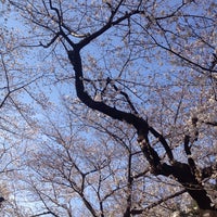法明寺参道 豊島区 東京都 法明寺参道 豊島区 東京都