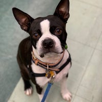 Petland discounts broadway cheap