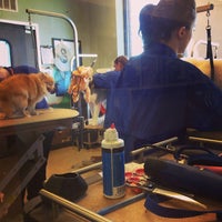 reptihabitat aquatic turtle kit