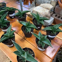 Photo taken at Plant Shop Chicago by Kendall B. on 1/18/2020
