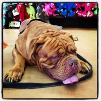 Pet Pantry Warehouse Pet Store In Larchmont