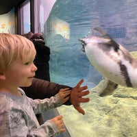 Photo taken at Aquarium of Niagara by Sarah P. on 1/1/2022