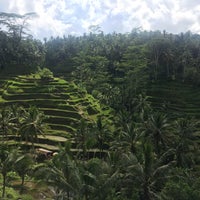 Photo taken at Tegallalang Rice Terraces by Amanda W. on 3/3/2017