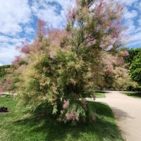 Photo taken at Grandes Serres du Jardin des Plantes by Amanda W. on 7/5/2023