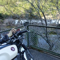 花の木公園 Park In 新城市