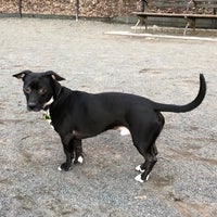 Photo taken at West 87th Street Dog Run by Michelle on 3/5/2018