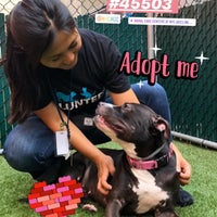 Photo taken at Animal Care and Control of New York City - Manhattan by Michelle on 7/27/2019