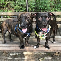 Photo taken at West 87th Street Dog Run by Michelle on 7/29/2018