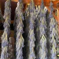 Photo taken at B&amp;amp;B Family Lavender Farm by Rose A. on 9/10/2021