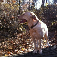 Photo taken at Dog Run @ The Circle by Edwin C. on 11/24/2012