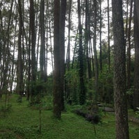 Taman Hutan Raya Ir H Djuanda Tempat Luar Ruang Bagus