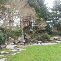 Yashiro Japanese Garden Downtown Olympia 2 Tips From 68 Visitors