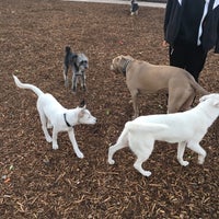 Photo taken at Oberrieder Dog Park by Raj P. on 3/6/2017