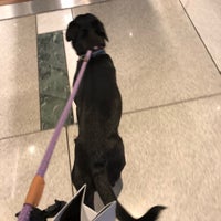 lucky brand columbus circle