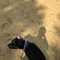 Photo taken at Central Park - Dog Square by Lu Y. on 9/5/2017