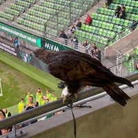 Photo prise au Groupama Aréna par László R. le10/9/2022