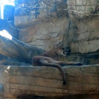 Photo taken at Shasta&amp;#39;s Den - Houston Zoo by Mike B. on 3/14/2017