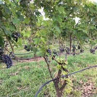 Photo taken at Raffaldini Vineyards &amp;amp; Winery by James J. on 8/13/2017