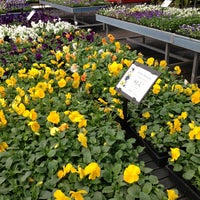 Lakeland Yard & Garden Center - Flowood, MS