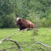 Foto scattata a Living History Farms da Michelle G. il 9/20/2023