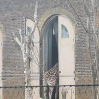 Photo taken at Giraffe House by Alexander on 4/3/2024